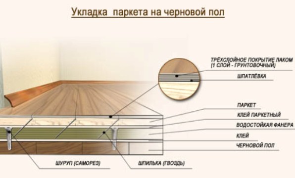 Технологическая схема производства варенья фото 366