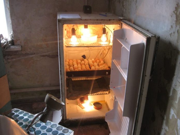 Инкубатор из старого холодильника