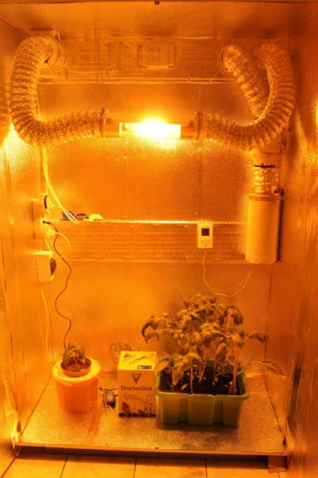 Гроубокс для выращивания растений из старого холодильника