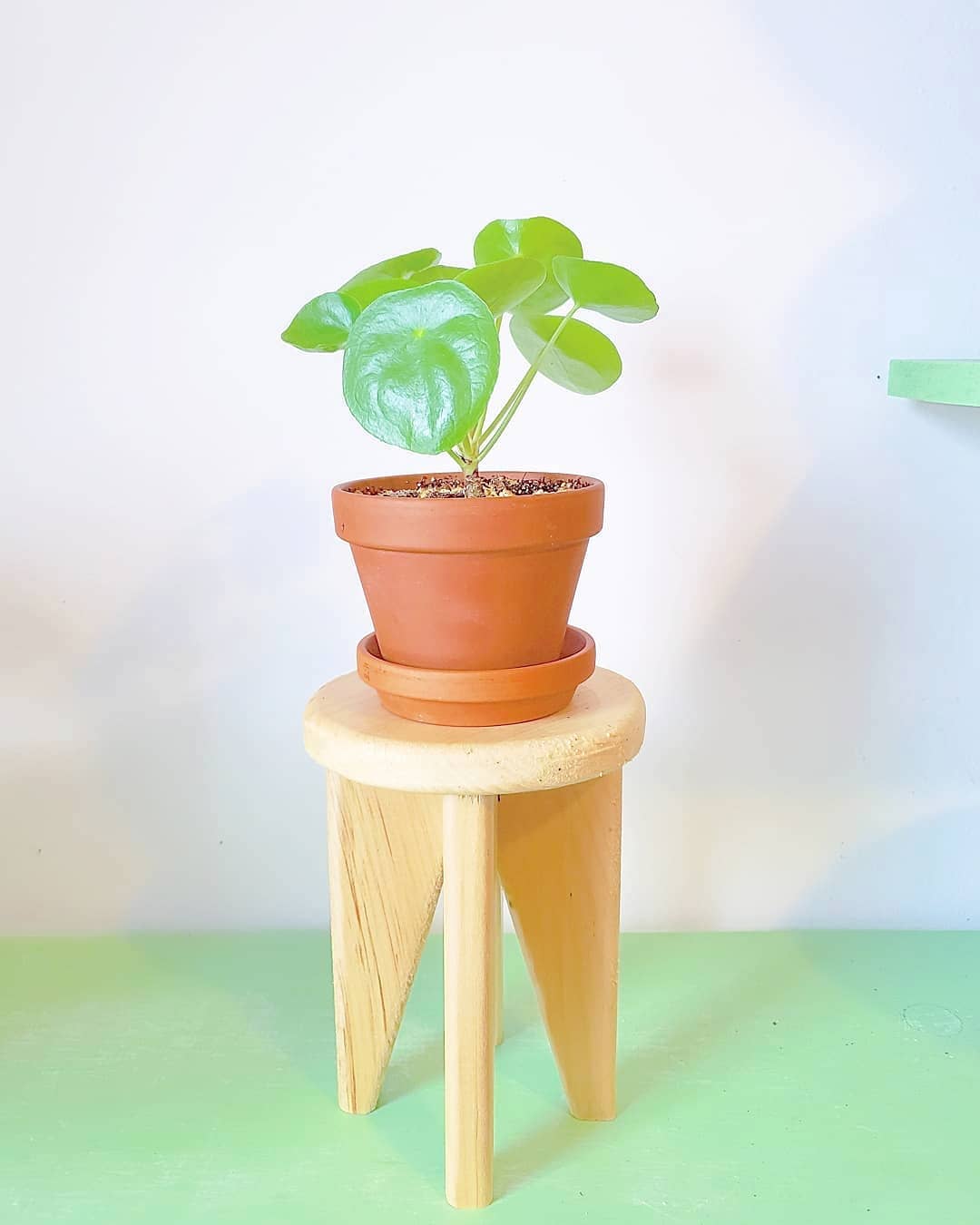 2. Стильная вазочка, которые вы можете сделать из дерева и бетона