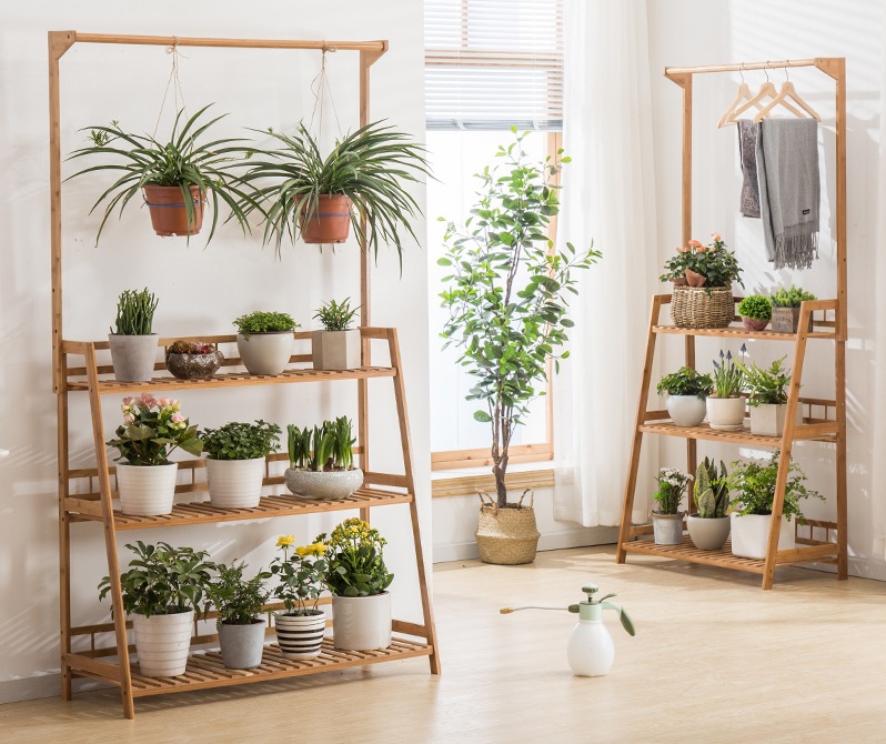 6 модных тенденций в оформлении комнатных растений в интерьере