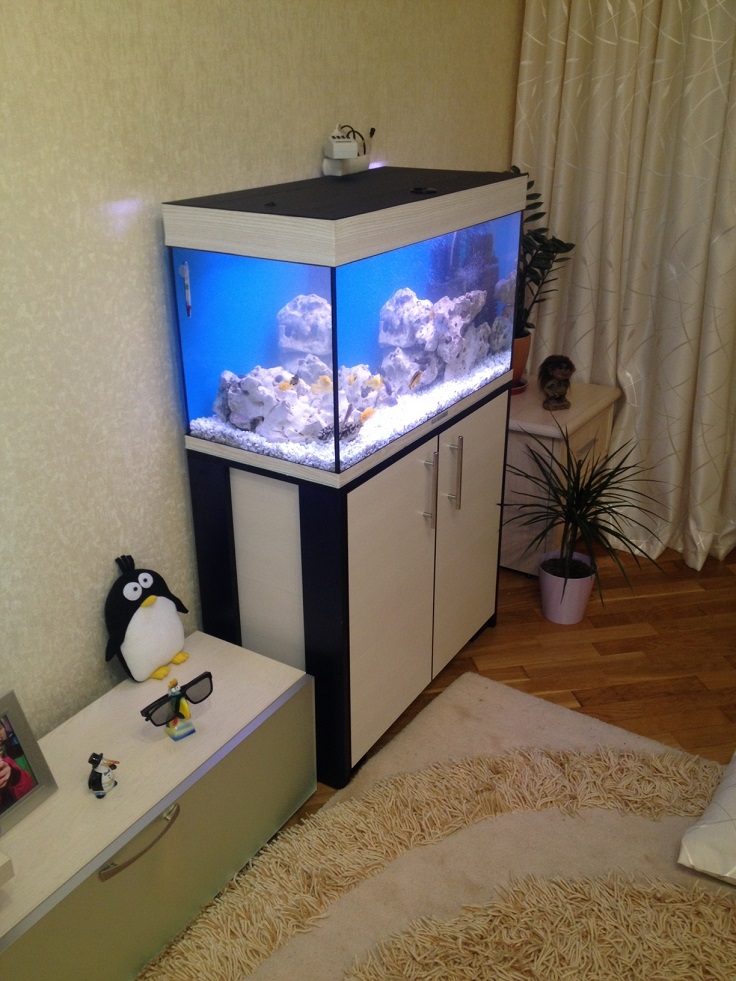 аквариум в маленькой квартире