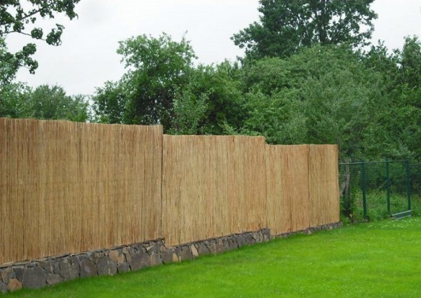 Забор из сетки с камышом