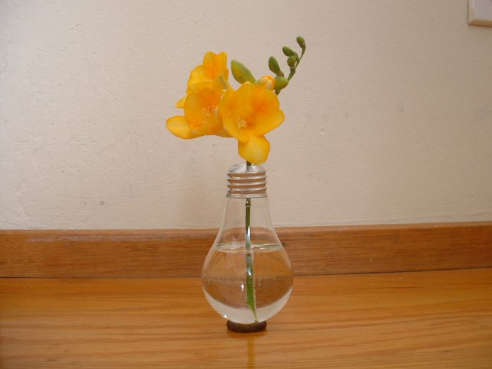 Оригинальная ваза из электрической лампочки