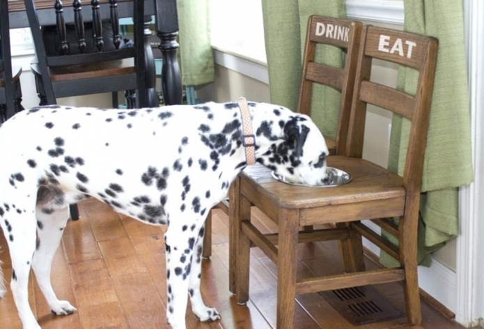 Кормушка для собак из старых стульев