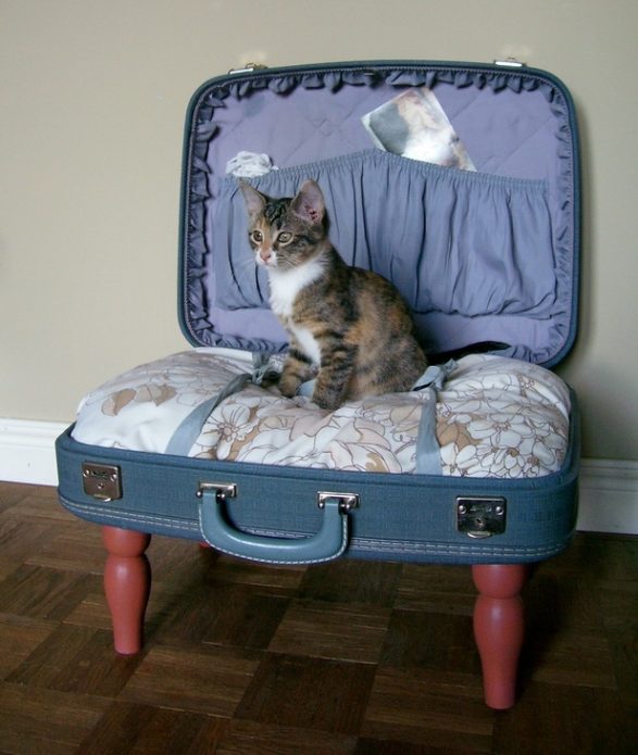 Лежанка для кошки из старого чемодана
